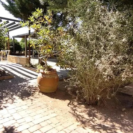 Azienda Agrituristica Le Betulle *