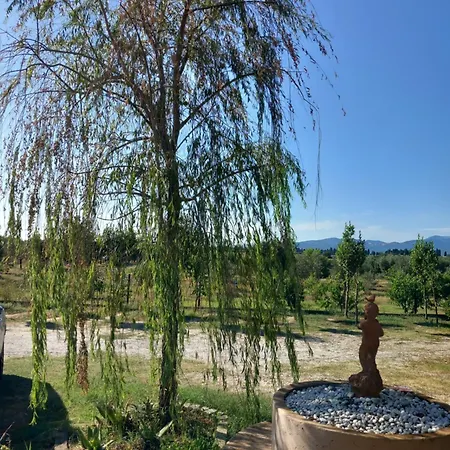 Farm stay Azienda Agrituristica Le Betulle Riotorto