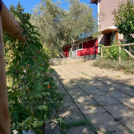 Farm stay Azienda Agrituristica Le Betulle Riotorto
