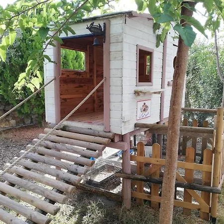 Azienda Agrituristica Le Betulle Farm stay Riotorto