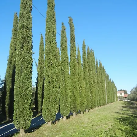 Azienda Agrituristica Le Betulle Farm stay *