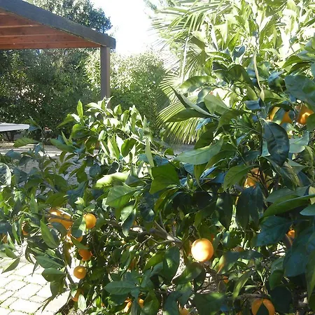Azienda Agrituristica Le Betulle Farm stay