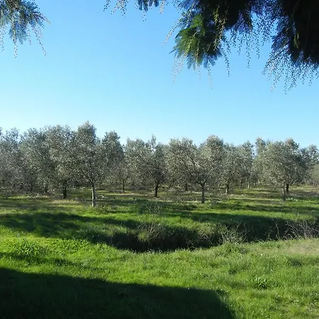 Azienda Agrituristica Le Betulle