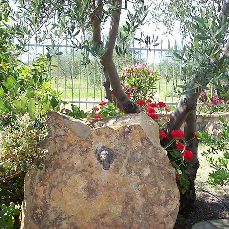 Azienda Agrituristica Le Betulle Riotorto