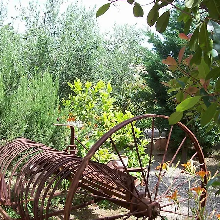 Farm stay Azienda Agrituristica Le Betulle *