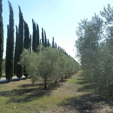 Farm stay Azienda Agrituristica Le Betulle