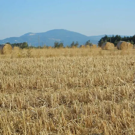 Farm stay Azienda Agrituristica Le Betulle Riotorto